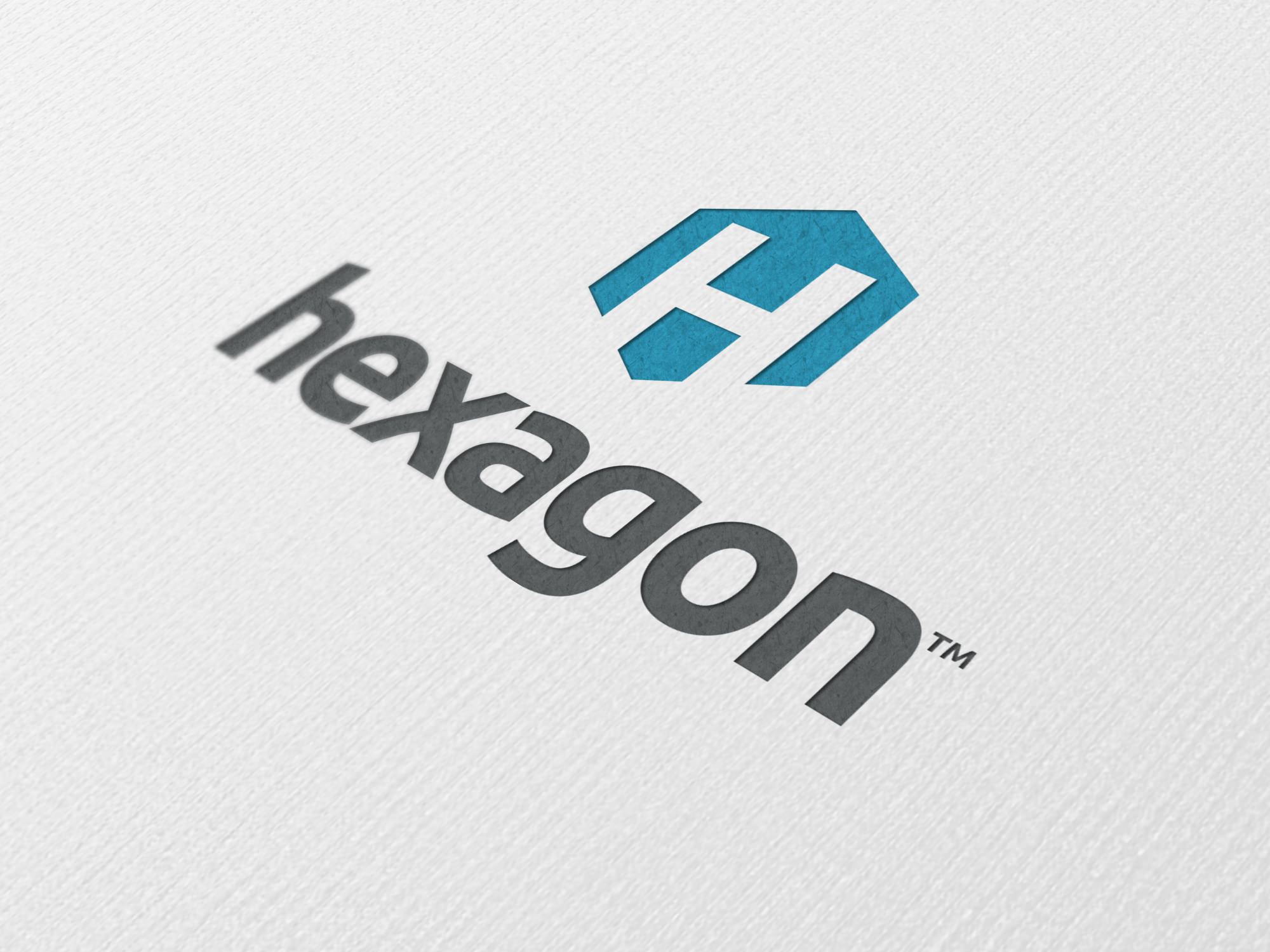 Hexagon Company Logo Design